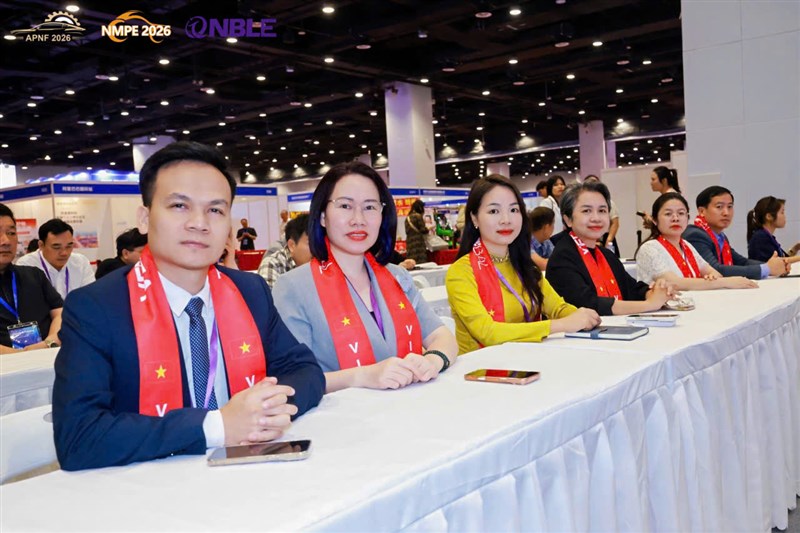 Hồ sơ năng lực